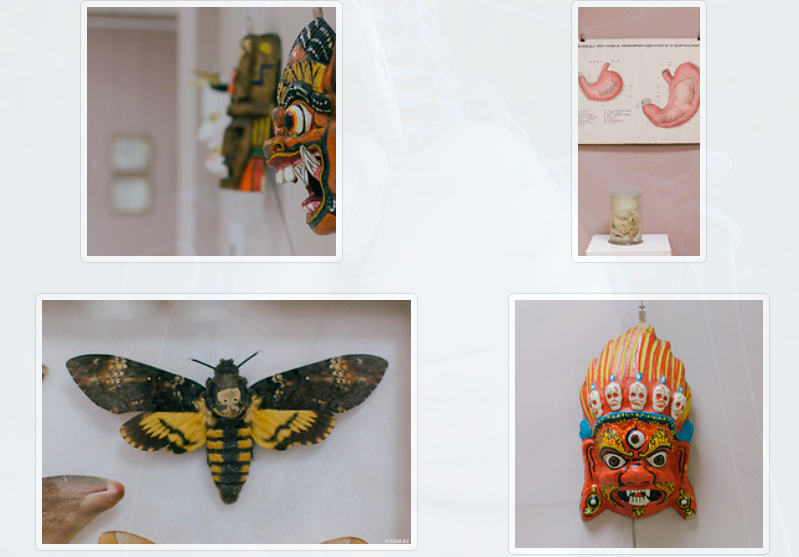 Анатомикус в Минске