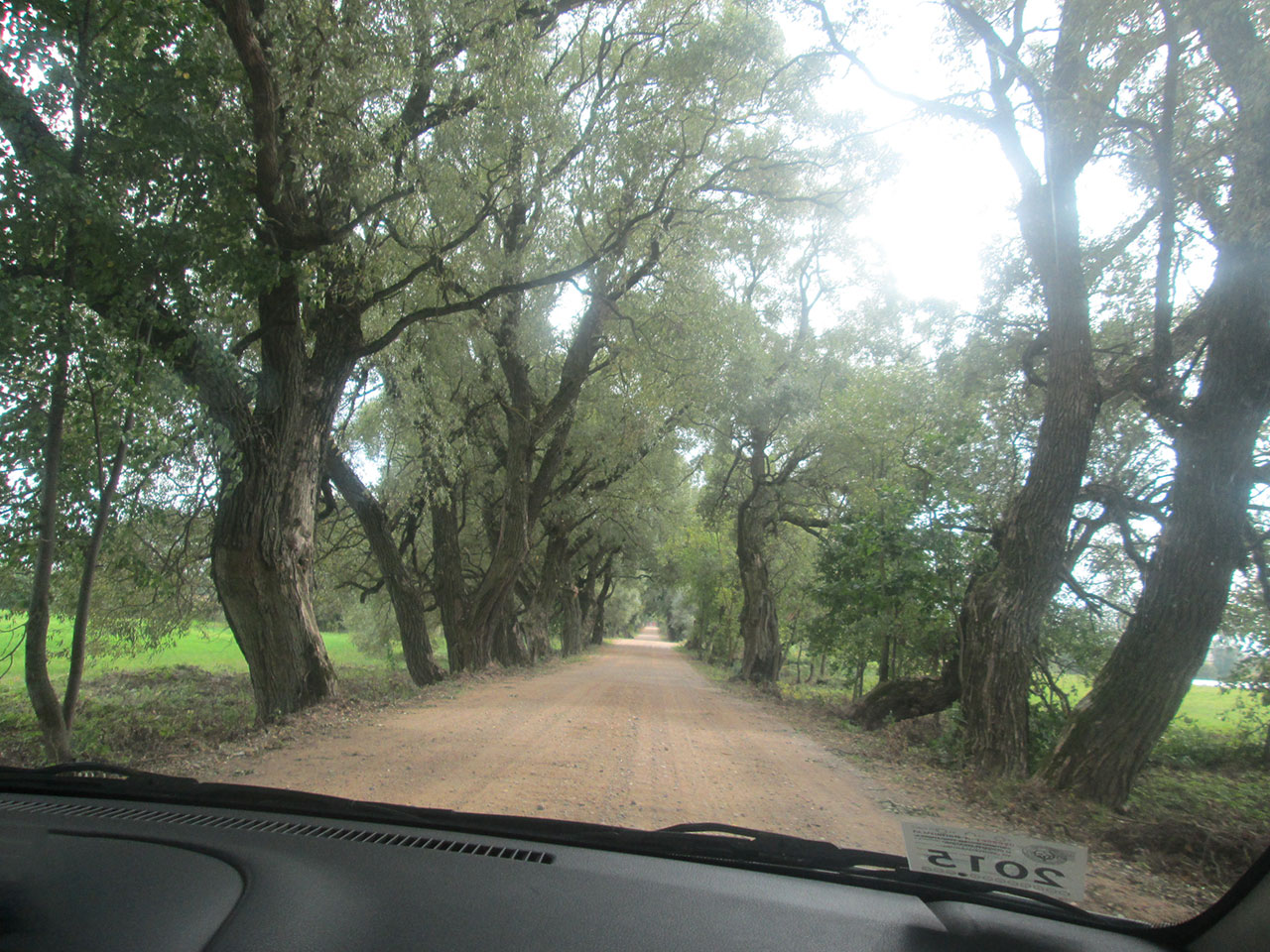 Дукорский маентак в Беларуси