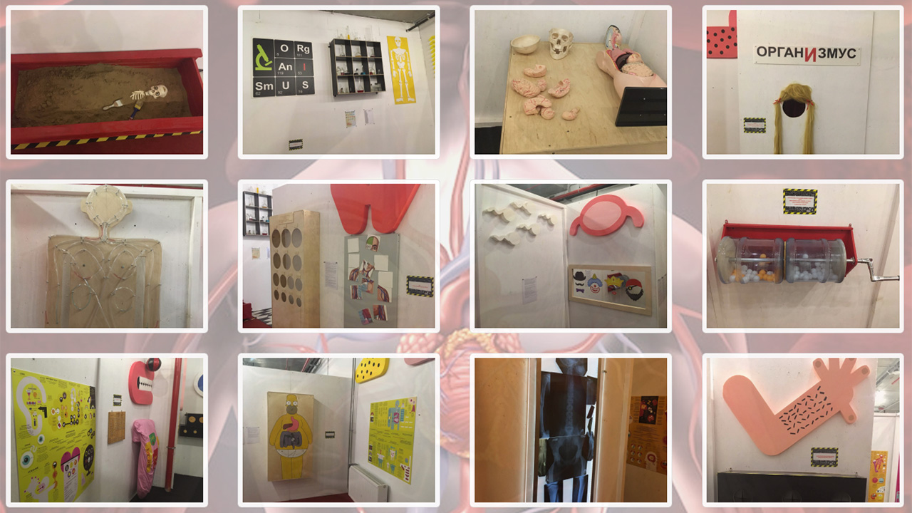 Организмус в Минске