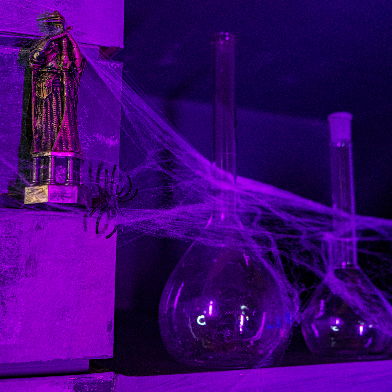 TikTok Парк в Минске